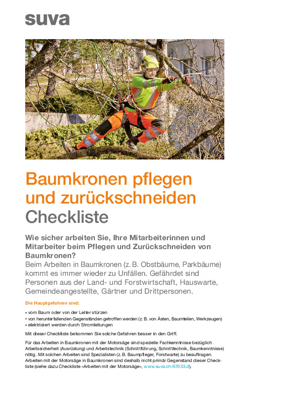 Bäume schneiden und Baumkronen sicher pflegen